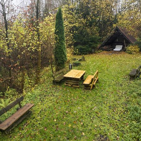 Truth Ruhe Oase, Naturblick, Smart Tv, Terrasse Brilon Exterior foto